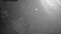 Archiv Foto Webcam Willingen: Adlerhorst Loipe 03:00