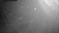 Archiv Foto Webcam Willingen: Adlerhorst Loipe 23:00