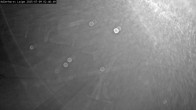 Archiv Foto Webcam Willingen: Adlerhorst Loipe 01:00