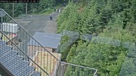Archiv Foto Webcam Willingen: Adlerhorst Loipe 11:00