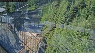 Archiv Foto Webcam Willingen: Adlerhorst Loipe 05:00