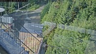Archiv Foto Webcam Willingen: Adlerhorst Loipe 06:00