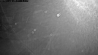 Archiv Foto Webcam Willingen: Adlerhorst Loipe 03:00