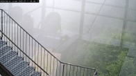 Archiv Foto Webcam Willingen: Adlerhorst Loipe 05:00