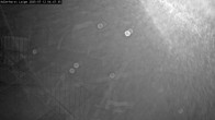 Archiv Foto Webcam Willingen: Adlerhorst Loipe 03:00