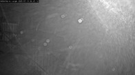 Archiv Foto Webcam Willingen: Adlerhorst Loipe 03:00
