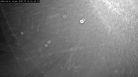 Archiv Foto Webcam Willingen: Adlerhorst Loipe 03:00