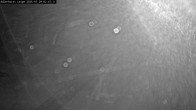 Archived image Webcam Willingen: Trail at Ski Jumping Area 01:00