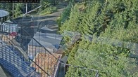 Archiv Foto Webcam Willingen: Adlerhorst Loipe 06:00