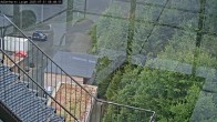 Archiv Foto Webcam Willingen: Adlerhorst Loipe 07:00