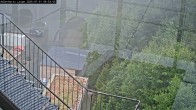 Archiv Foto Webcam Willingen: Adlerhorst Loipe 09:00