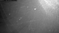 Archived image Webcam Willingen: Trail at Ski Jumping Area 03:00