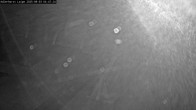 Archiv Foto Webcam Willingen: Adlerhorst Loipe 03:00