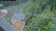 Archiv Foto Webcam Willingen: Adlerhorst Loipe 11:00