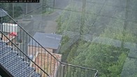 Archiv Foto Webcam Willingen: Adlerhorst Loipe 06:00