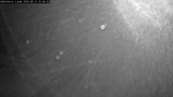Archiv Foto Webcam Willingen: Adlerhorst Loipe 21:00