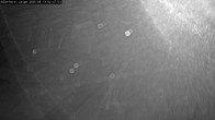Archiv Foto Webcam Willingen: Adlerhorst Loipe 01:00
