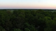 Archiv Foto Webcam Wasserturm in Beelitz 19:00