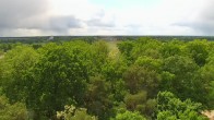 Archived image Webcam View from the water tower in Beelitz 11:00