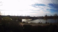Archived image Webcam Kennedy Bridge in Bonn 13:00