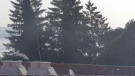 Archiv Foto Webcam Gaienhofen: Halbinsel Höri 07:00