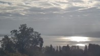 Archiv Foto Webcam Gaienhofen: Halbinsel Höri 08:00