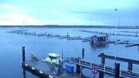 Archived image Webcam Kröslin: At the yacht harbour 07:00