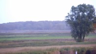 Archiv Foto Webcam Usedom: Yachthafen Kröslin 06:00
