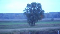 Archiv Foto Webcam Usedom: Yachthafen Kröslin 06:00