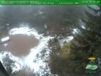 Archived image Webcam Oberhof - Botanical Garden 07:00