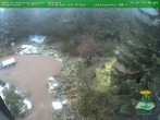 Archived image Webcam Oberhof - Botanical Garden 09:00