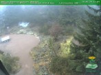 Archived image Webcam Oberhof - Botanical Garden 13:00