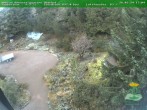 Archived image Webcam Oberhof - Botanical Garden 17:00