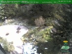 Archived image Webcam Oberhof - Botanical Garden 11:00