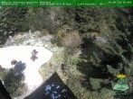 Archived image Webcam Oberhof - Botanical Garden 15:00