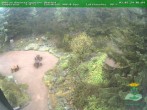 Archived image Webcam Oberhof - Botanical Garden 06:00
