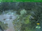 Archived image Webcam Oberhof - Botanical Garden 05:00