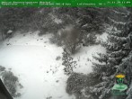 Archived image Webcam Oberhof - Botanical Garden 11:00