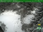 Archived image Webcam Oberhof - Botanical Garden 13:00