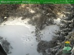 Archiv Foto Webcam Oberhof - Blick in den Rennsteiggarten 15:00