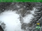 Archiv Foto Webcam Oberhof - Blick in den Rennsteiggarten 09:00