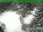 Archiv Foto Webcam Oberhof - Blick in den Rennsteiggarten 11:00