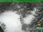 Archiv Foto Webcam Oberhof - Blick in den Rennsteiggarten 13:00