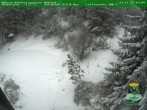 Archiv Foto Webcam Oberhof - Blick in den Rennsteiggarten 15:00