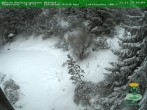 Archiv Foto Webcam Oberhof - Blick in den Rennsteiggarten 17:00