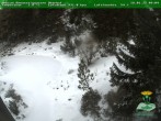 Archiv Foto Webcam Oberhof - Blick in den Rennsteiggarten 09:00