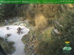 Archiv Foto Webcam Oberhof - Blick in den Rennsteiggarten 21:00