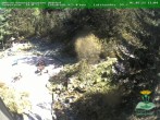 Archiv Foto Webcam Oberhof - Blick in den Rennsteiggarten 11:00