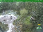 Archiv Foto Webcam Oberhof - Blick in den Rennsteiggarten 06:00
