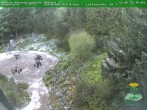 Archiv Foto Webcam Oberhof - Blick in den Rennsteiggarten 07:00